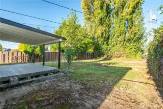 Deck & Back Yard