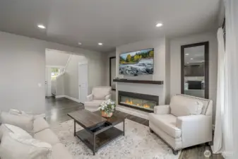 Living room and entrance and fireplace