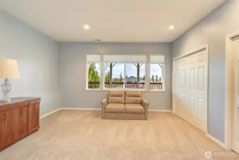 Downstairs bedroom is also large with double closets. This house does not lack for storage or views!