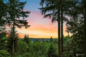 This unique and incredible property adjoins 600+ acres of protected forests, trails, and waterfront parks, is incredibly private and quiet, yet is just a short drive to historic Inglewood Golf Club, vibrant Juanita Village, and eclectic downtown Kirkland.