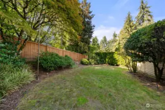 level backyard surrounded by lush vegetation