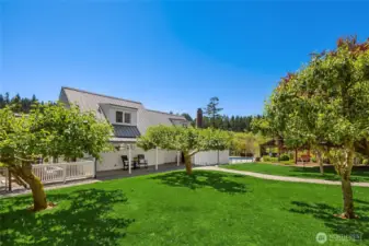 Main walkway to the house . . .