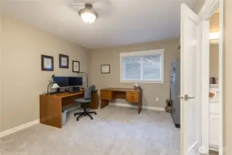 Fourth bedroom on lower level has direct access to half bath