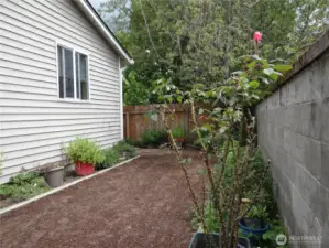 Backyard, new grass is planted
