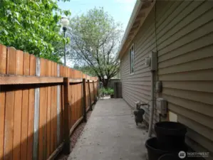 Dog Run