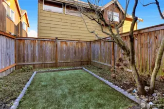 Fenced Yard off of lower bedroom