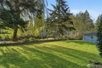 Nicely sized back yard