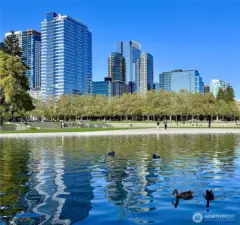 City center location near Bellevue Park.