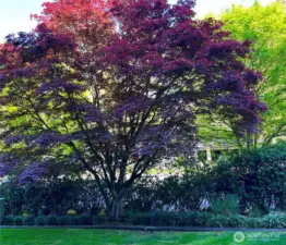 Overlook a lush and well manicured yard!
