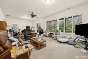 Lower level Great room.