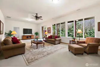 Lower level Staged Great room.