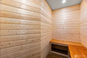 Sauna area