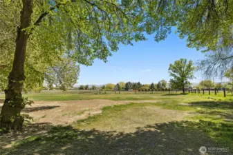 South portion of the yard...possibilities are endless with this acre close to town