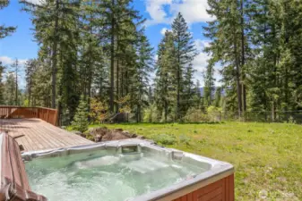 Hot tub with mountain views! Not another home in sight. Just trees & mountains.