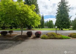 Looking out of the driveway