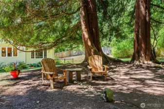 Enjoy a peaceful moment under the trees!