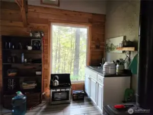view from tall window out to forest