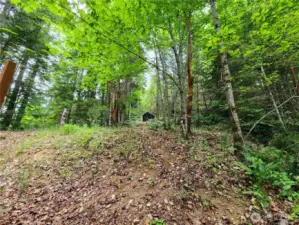 view uphill from deck, hoop tent for storage