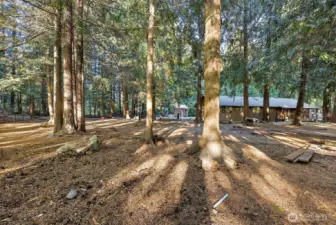 Your own little private oasis!