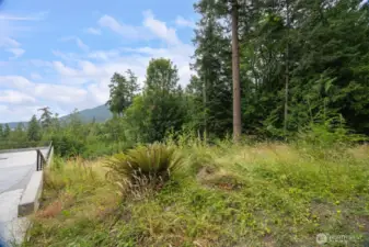Looking from the road at the property.