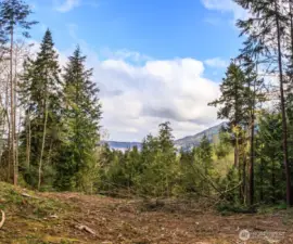 This is the property 20 years ago when it was cleared.