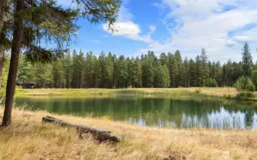 Pond behind the property
