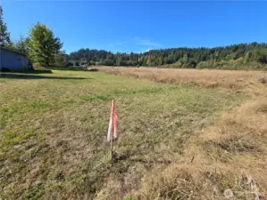 Southeast corner of property looking northwest.
