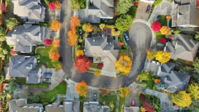 Drone shot shows the uniqueness of this large lot being peninsula shaped providing seclusion from nearly every angle.  This is one of the largest lots in "The Parks"
