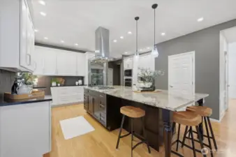 over $85k upgraded Chef's Dream Kitchen!  You may never want to leave this kitchen.  Amenities galore include; 10ft x 5ft granite island, 5 burner natural gas cook top with high powered hood, 15k Sub Zero fridge with glass door (current price would be $21k to purchase).  20 self gliding drawers, Pull out cabinets, Walk-in pantry, canned lighting, double drawer dishwasher (Fisher & Paykel), NEW Electrolux microwave, DEEP stainless steel sink, Sinkerator Insta Hot water (200+ degrees), full height tiled back splash & more.