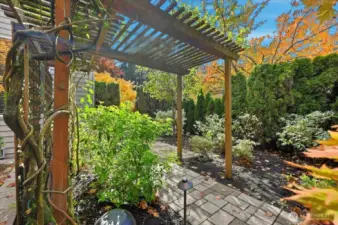 Fall Arbor scene pictured here