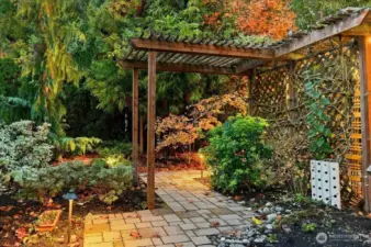 Leaves are falling creating a beautiful fall scene