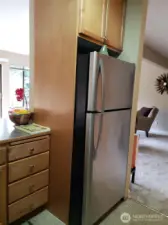 SS fridge