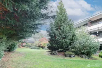 2nd view of backyard common area