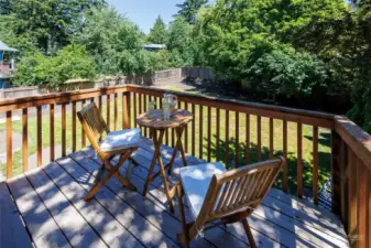 Relax on the deck off of the kitchen & dining area overlooking the expansive yard.