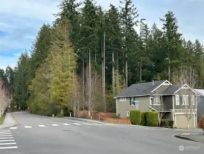 Street view along Urdahl Road