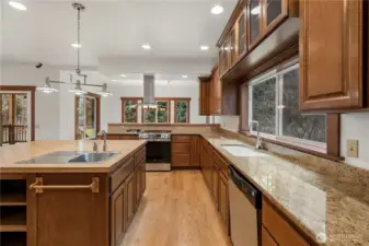 Looking into kitchen from dining room entrance.  Ample counter and cabinet space.