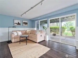 Lower level family room