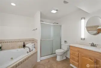 Spacious bathroom