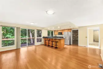 GREAT ROOM/ KITCHEN & FAMILY ROOMS