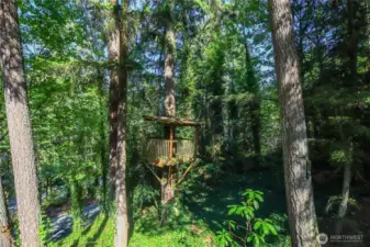 Feel like you are in a treehouse, surrounded by beautiful maple and evergreen trees.