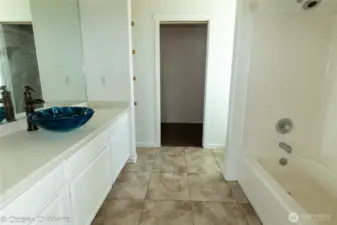 Primary Bathroom and closet