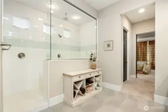 Primary luxury spa shower