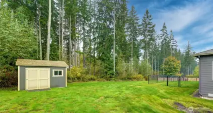 back yard with out building for rider mower. The property goes a ways back into the trees.