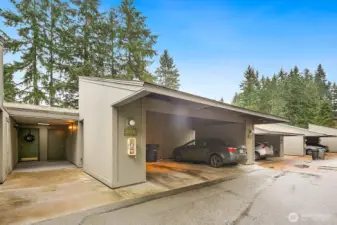 Live on the lake, by the trees and trails in this large contemporary-style resort-style townhouse community in Redmond, near Microsoft.