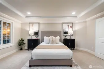 Alternate primary suite view highlighting spacious layout and elegant finishes.