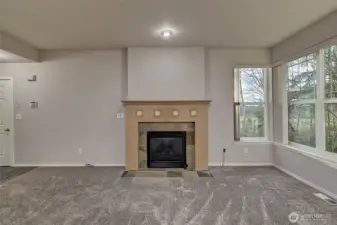 A cozy alternative heat source for those Washington winter nights.