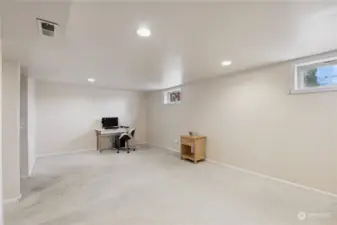 Expansive rec room in basement