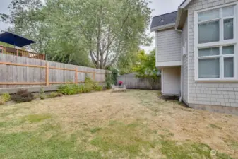 View of yard from back door