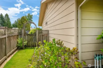 East side yard