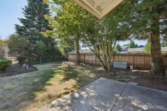 Rear Yard